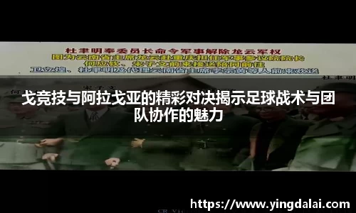 WE真人视讯平台